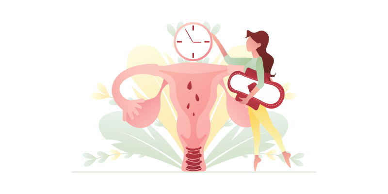Understanding Menopause