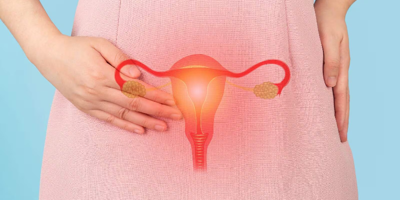 Postmenopausal Bleeding