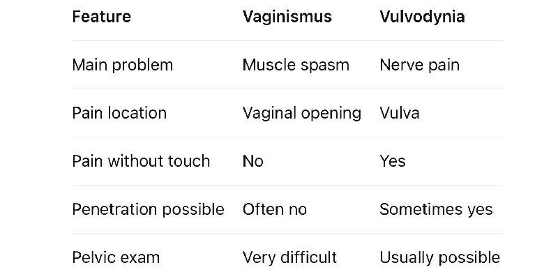 Vaginismus vs Vulvodynia Comparison Table