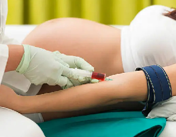 NT Scan, NIPT, and Double Marker